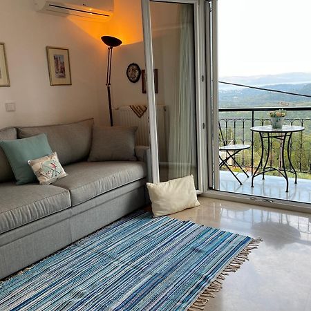 Schoenes Familienappartement In Pelekas, Corfu Mit Meerblick Exteriér fotografie